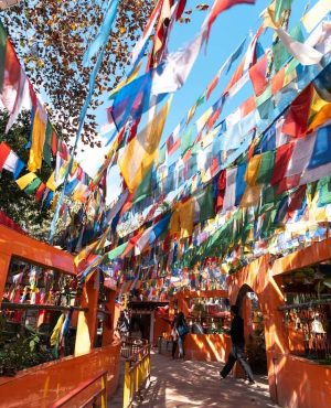 Leh - Prayer Flags (1)