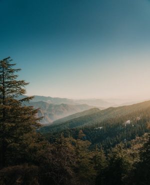 Shimla - Mountains